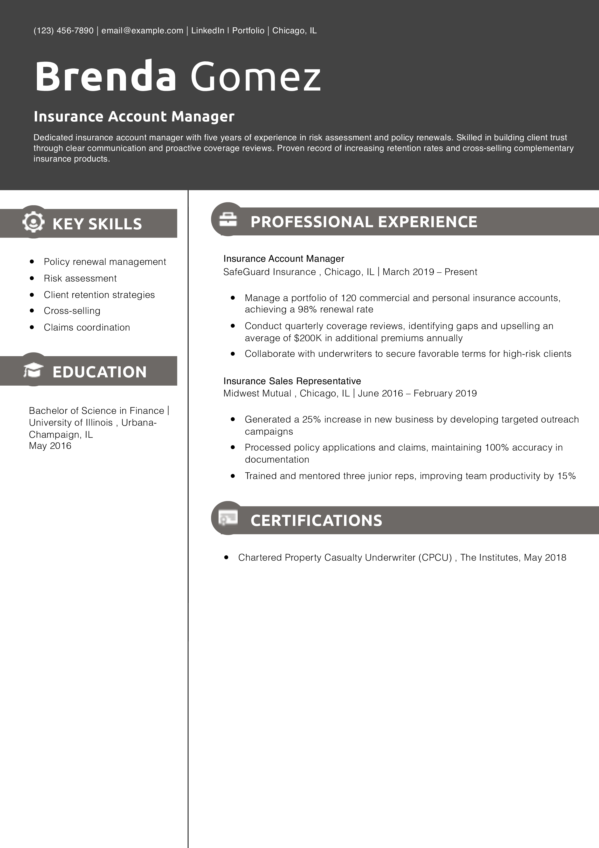 Insurance Account Manager Resume Example